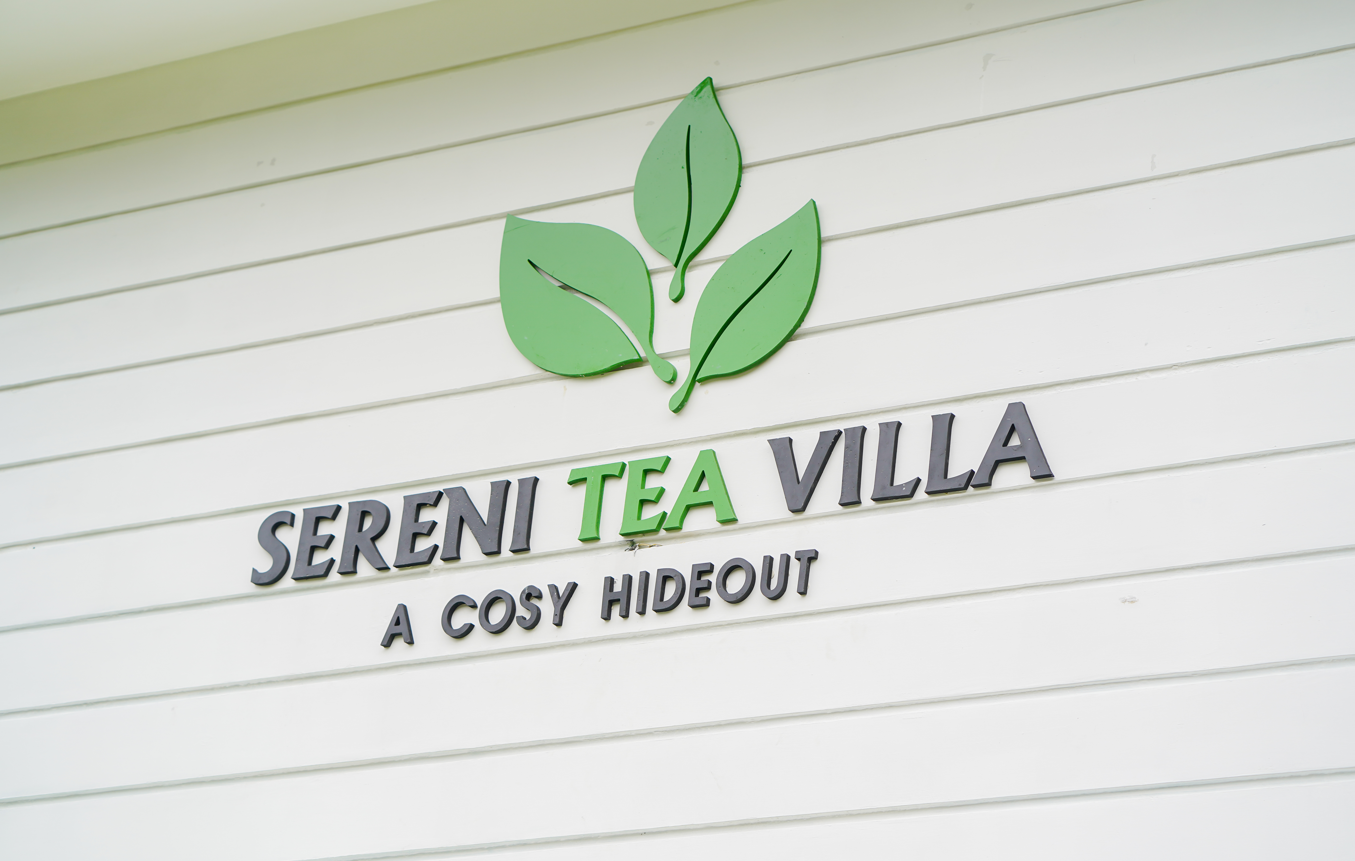 Misty morning view from Vagamon villa - SereniTea resort in tea gardens